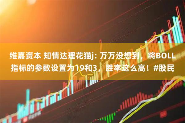 维嘉资本 知情达理花猫j: 万万没想到，将BOLL指标的参数设置为19和3，胜率这么高！#股民