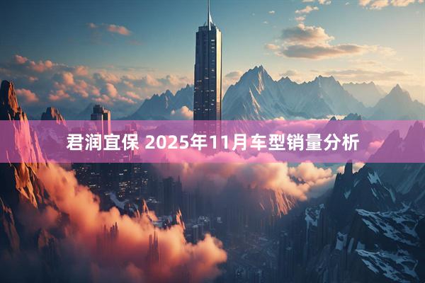 君润宜保 2025年11月车型销量分析