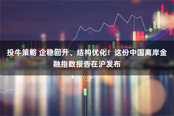 投牛策略 企稳回升、结构优化！这份中国离岸金融指数报告在沪发布