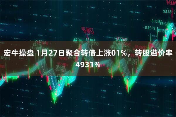 宏牛操盘 1月27日聚合转债上涨01%，转股溢价率4931%